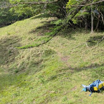 この先、柳沢峠に向かう時は道違え注意！たぶんこの辺で既に罠にハマってた。無理やり復帰したけどw
ちなみにここまでが古林道歩き。