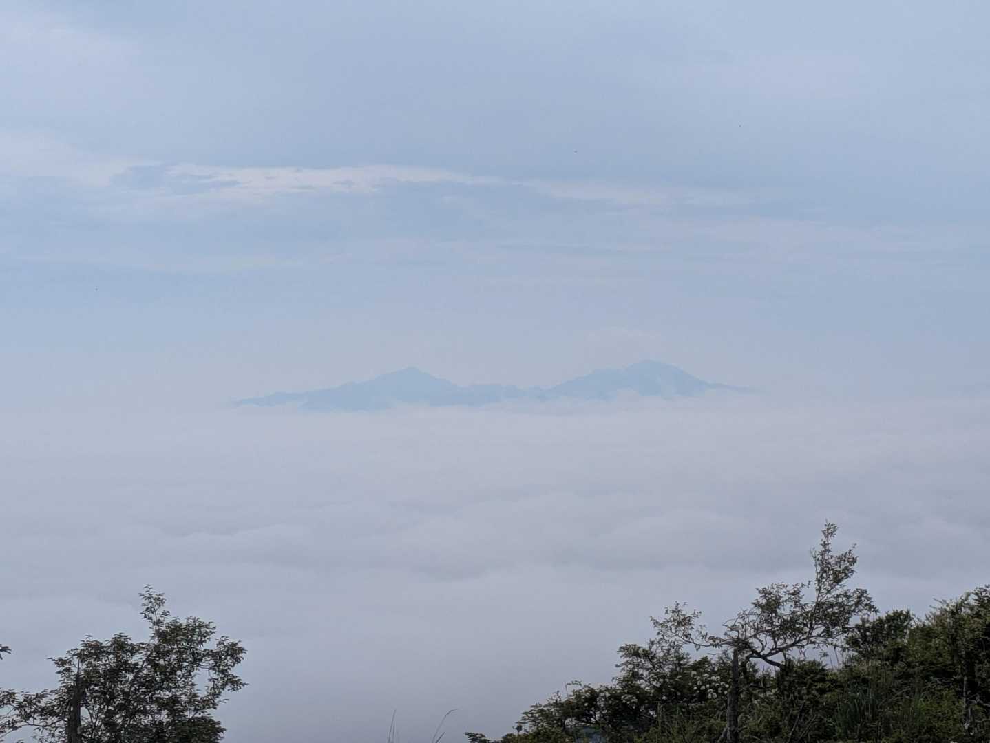 分かりづらいけど雲海の向こうに愛鷹山