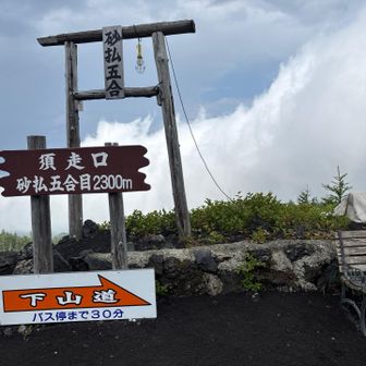 絶対無理だと思ってたけど，15時のバスに間に合うかも? と，案内板を見てペースを上げ、10分前にバス停到着。
