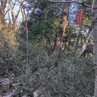 藪割れ目の先に田中山名標識あり。三角点もありました。