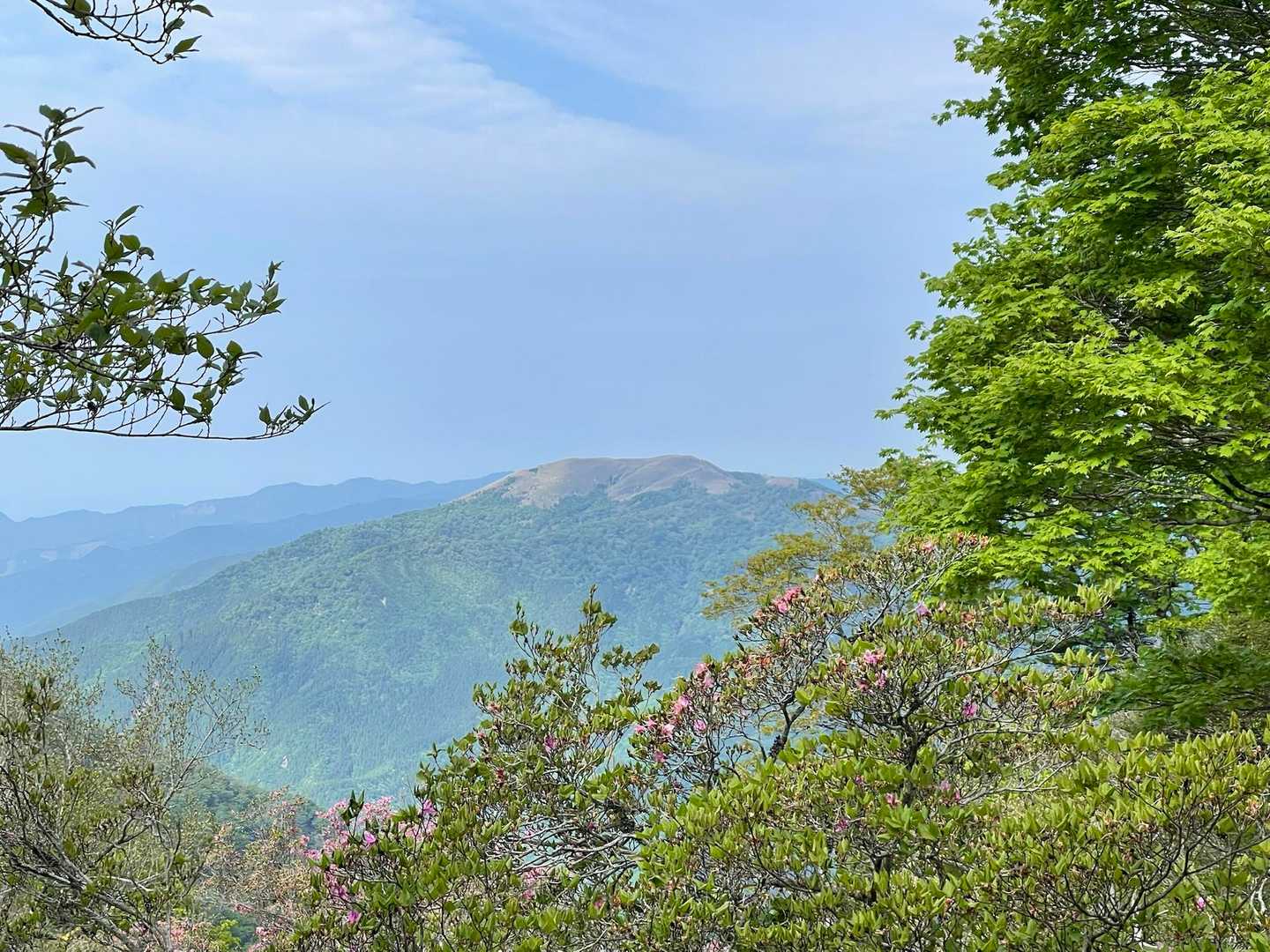 樹間からチラリと土佐矢筈山