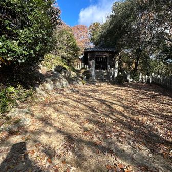 こじんまりとした神社でした。
お参りして登山道へ戻ります🏃‍♀️