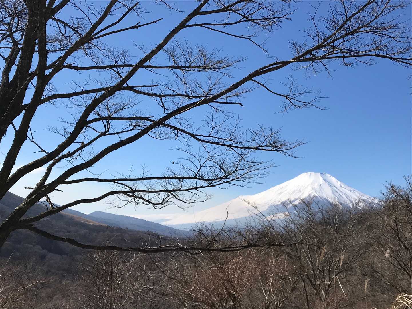 ヤッホーヤッホー（＾Ｏ＾☆