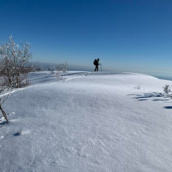 天青白日。いい新年だ〜