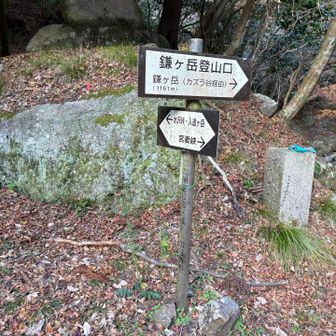 寝不足でピストンにするかもな〜と思って鎌ヶ岳経由でまず行こう。
まだ曇りで、駐車場の車は3台、少し不安。。