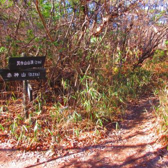 太郎坊山・箕作山分岐