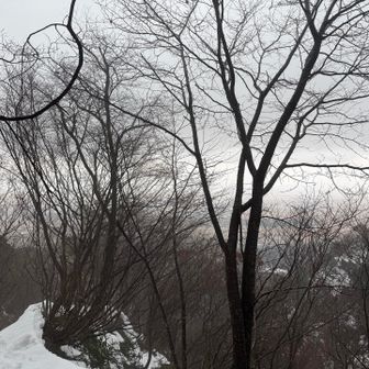 降りて来たら少し晴れてました🌞