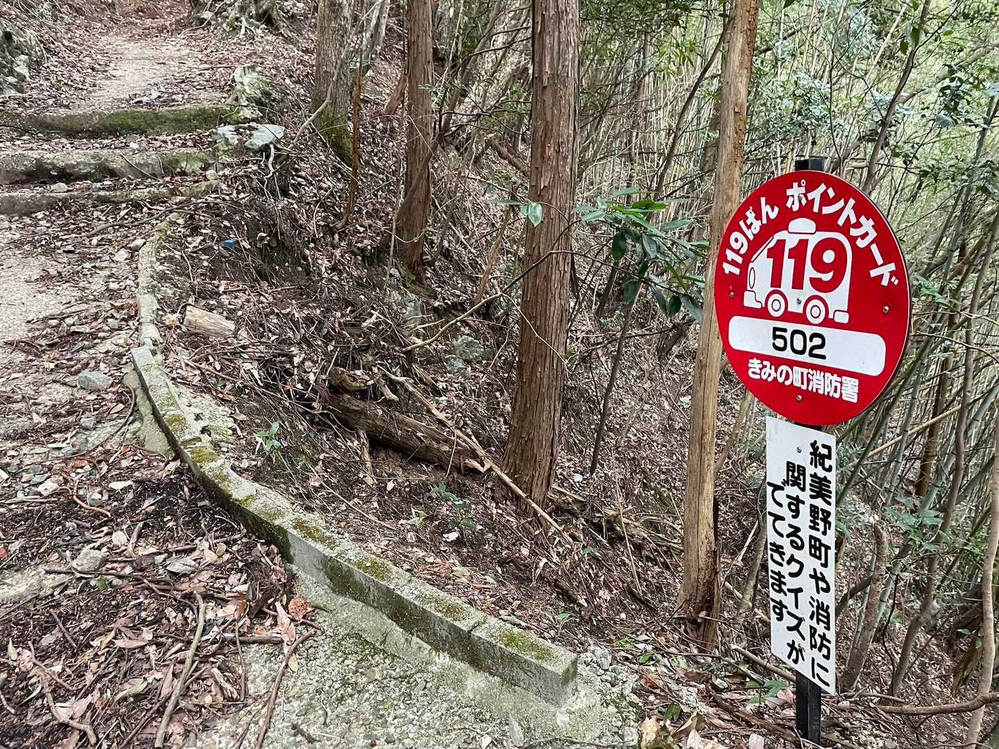 次々とクイズとその答えが出てきて、飽きずに登れる