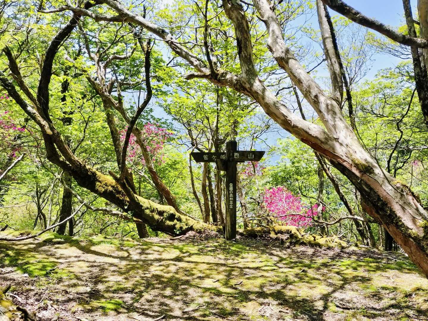 大永山トンネル口-綱繰山-西山-銅山越 往復コースの写真