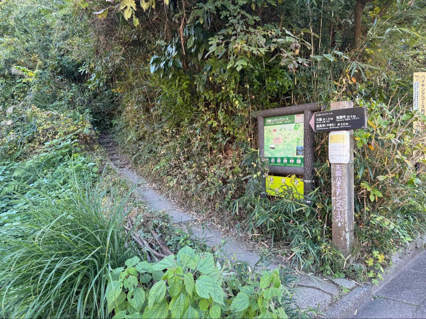 【フラット登山】ビートルズトレイル  鎌倉と横浜をまたぐ不思議な山道の写真