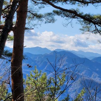 残念ながら富士山は雲の中