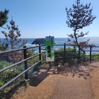チェックポイントの看板前🐉
