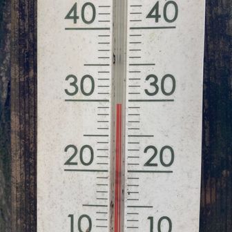 東山山頂の木陰で29.5℃。今日はここ最近ではかなりマシな方