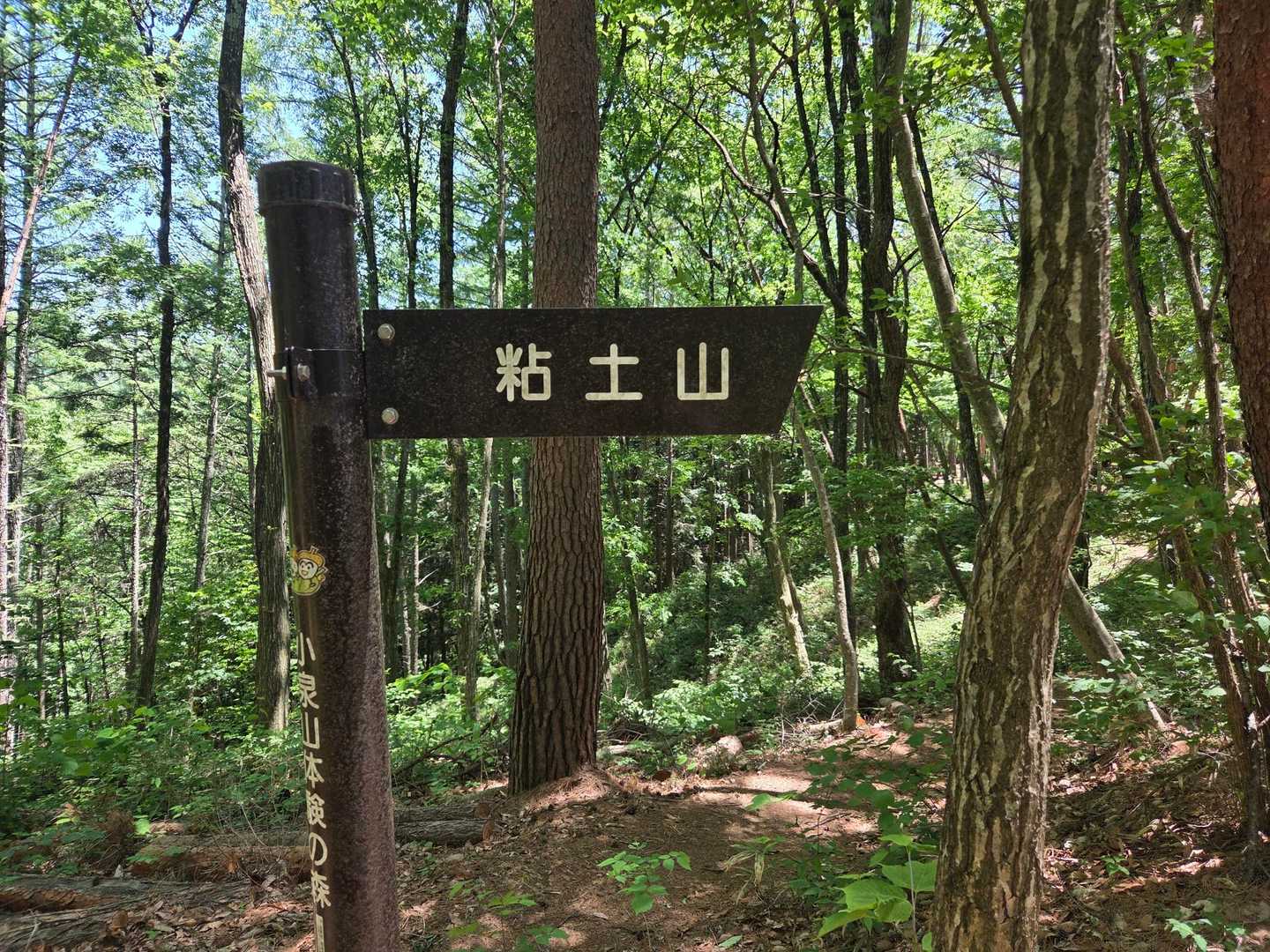 標識がしっかりしてます🪧