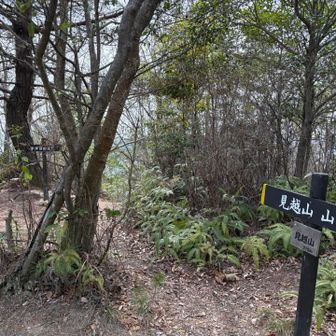 眺望なし👀ここで下山ルートを間違えました⤵︎