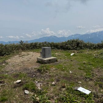 僧ヶ岳山頂