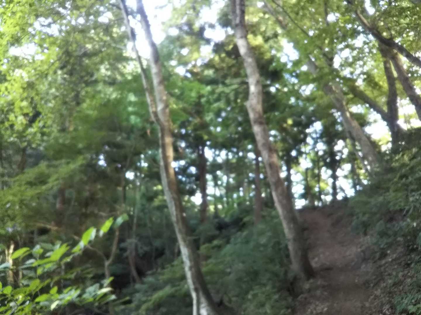 さて走るべ❗️