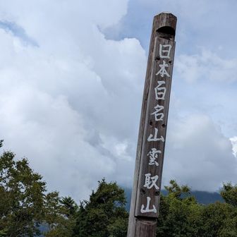 景色は皆無🤣