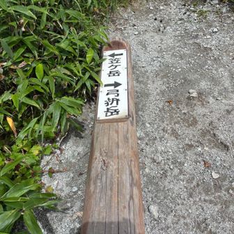 倒れてる