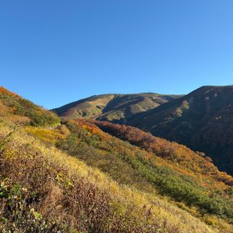 30分くらい樹林帯を歩くとすぐにこんな景色になります✨🍁