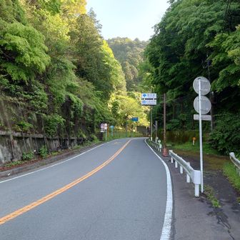 とりあえず大垂水峠超え。69年式生体エンジンはまだ出力が上がってこない