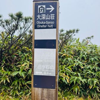分岐点