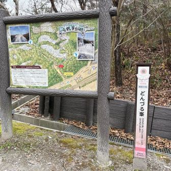 いたるところが真っ白になってるようです