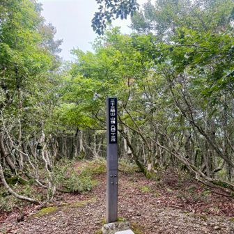 三十三間山山頂
