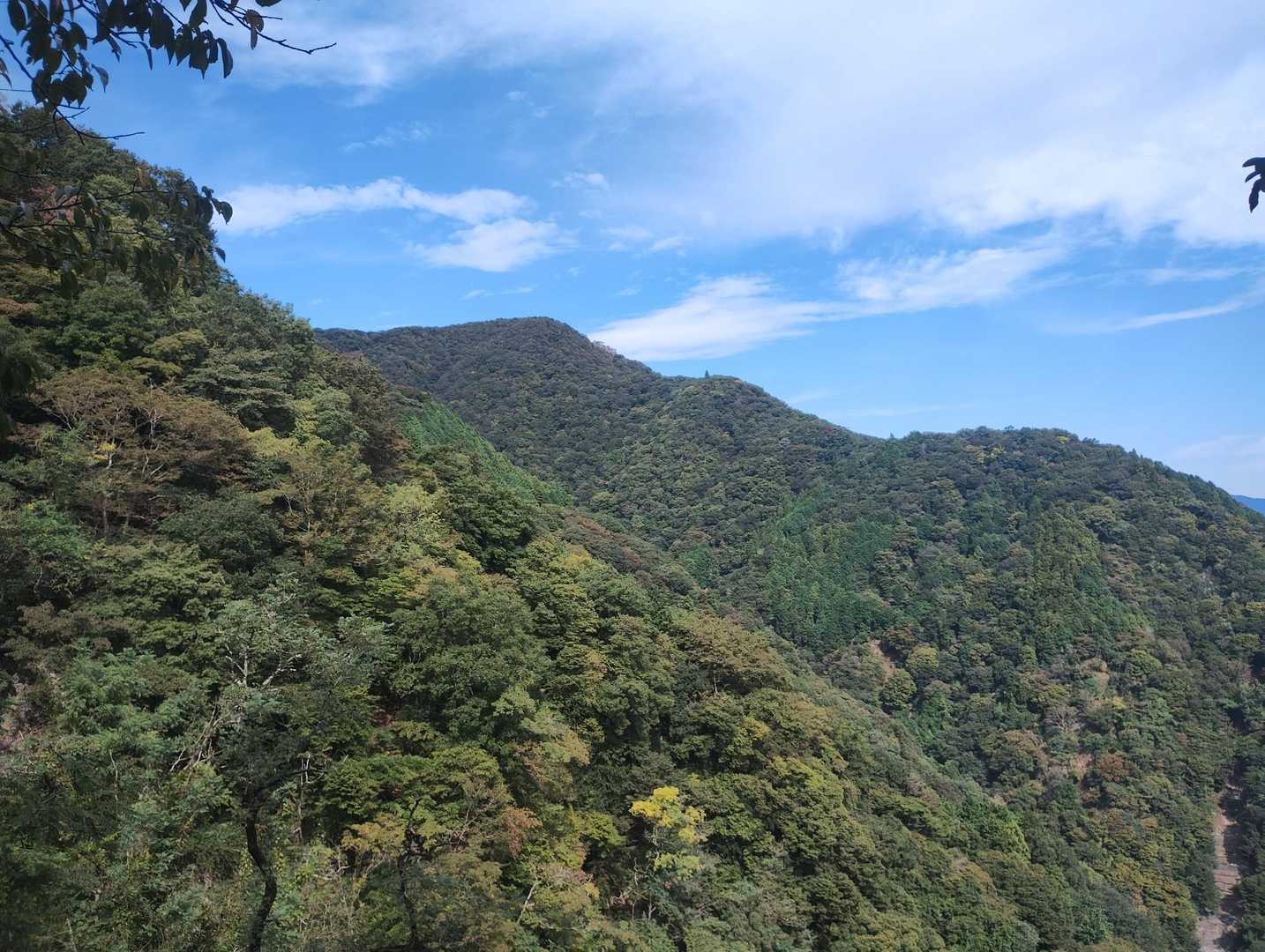 対面の山へ登ります