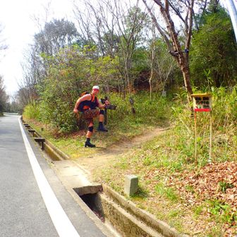 途中舗装道路に出たりもするよ🛣️
