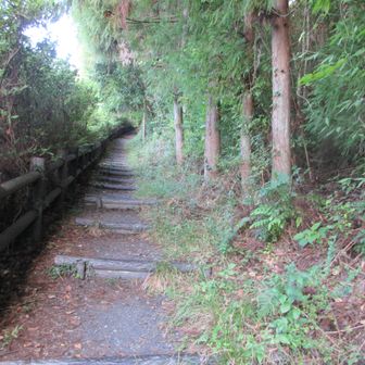 登山口にきました。こんなタラタラ階段だったかな。こたえました。
納得できないので二回目は急登の尾根道から再度登りました。
距離はないが登りがいがありました。
