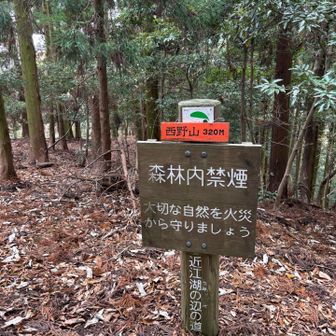 西野山
眺望はなしです