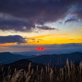 燃えるような紅さ