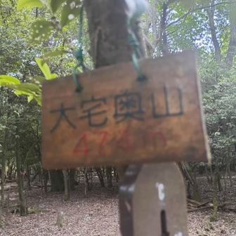 ３座目大宅奥山