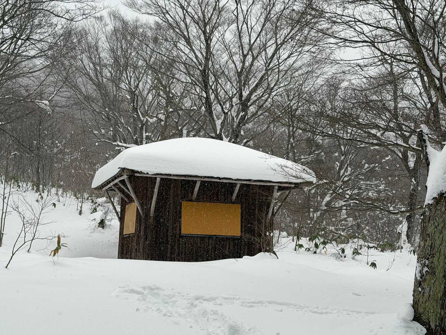 年末に比べ、しっかり載ってますが、ピークの4割くらいかな🤔