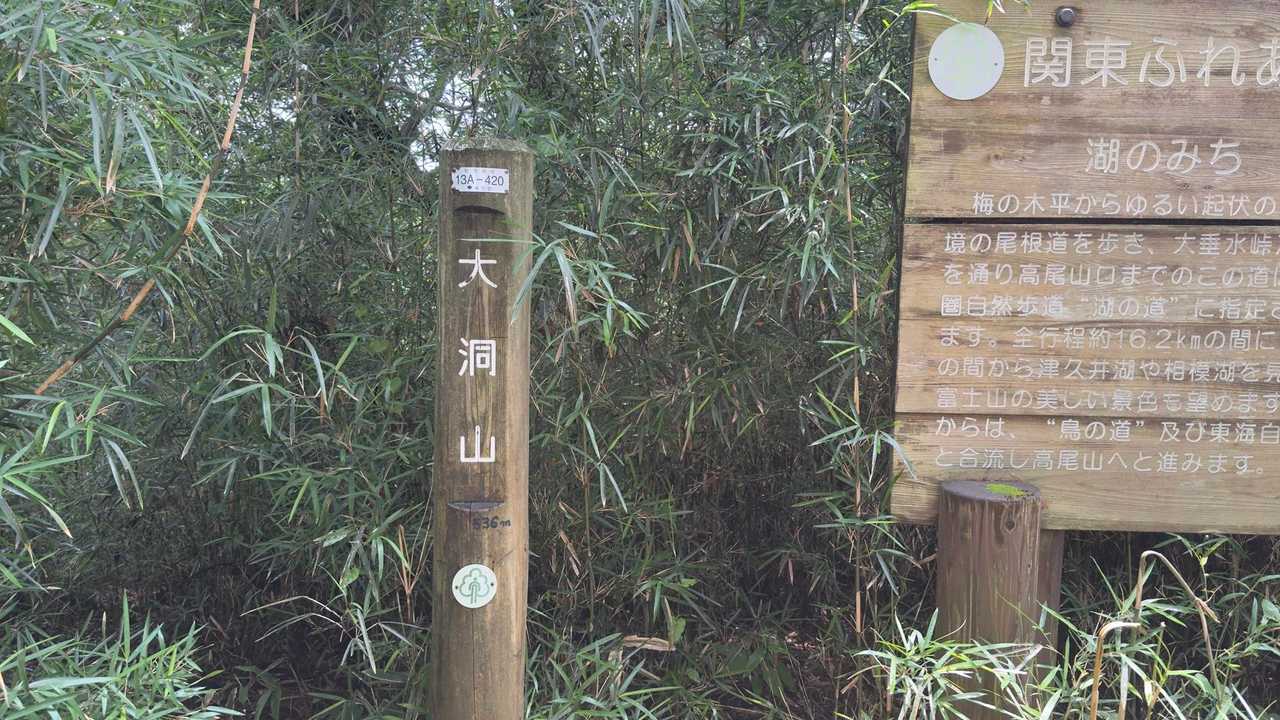 高尾山ビアマウント🍻（草戸山・榎窪山・泰光寺山・東山・入沢山・名手山・大登不見山・中沢山・高岩山・コンピラ山・大洞山...） の写真 9