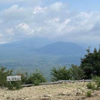 パノラマ台🙌
「子抱富士」見られず😂
こども（大室山）は樹海でのびのびだ🫶