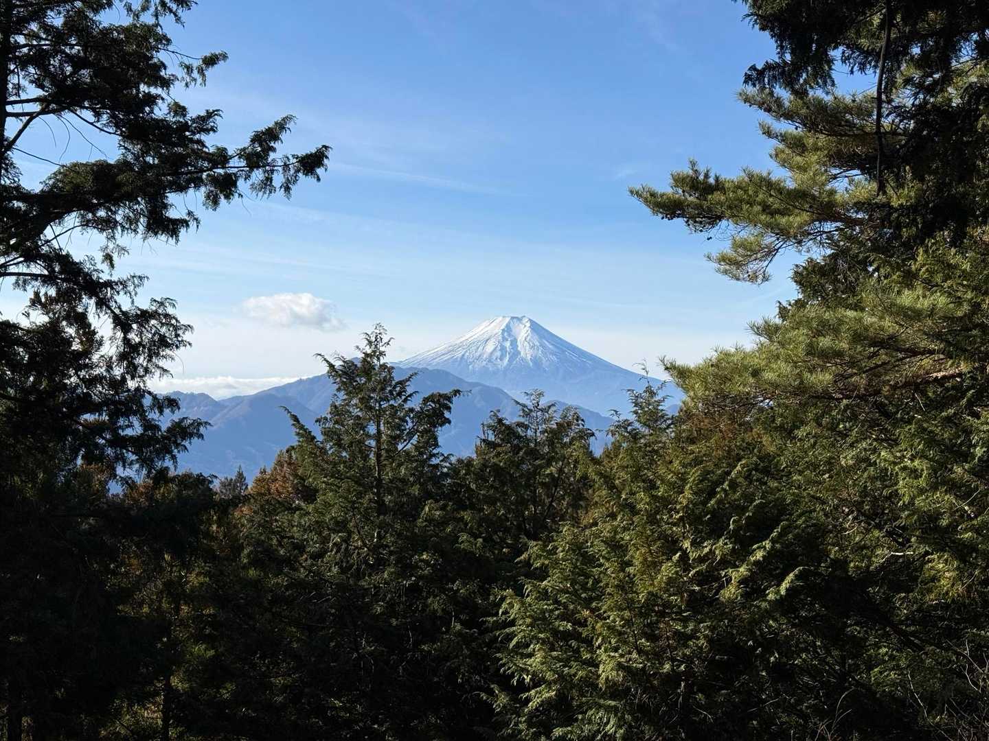 九鬼山 往復コースの写真