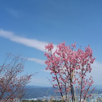 春色、心地よい