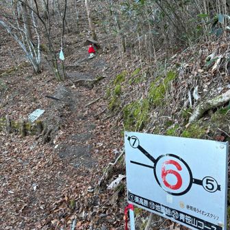 登山口から地蔵峠へ