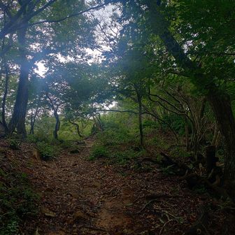 尾根になってくると風が強くなりました。