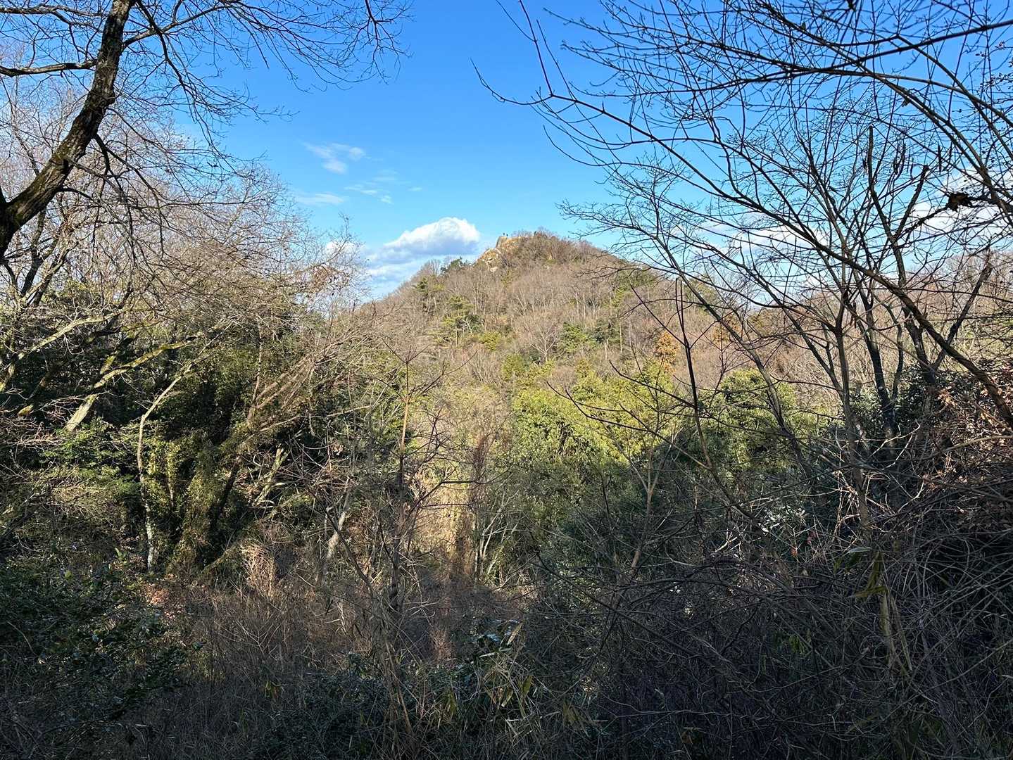 更に下ったり、登り返したりしながらも
山頂『観音岩』が見えて来ました(o^^o)