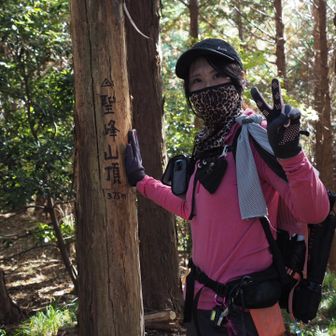 少し進んで聖峰山頂に到着