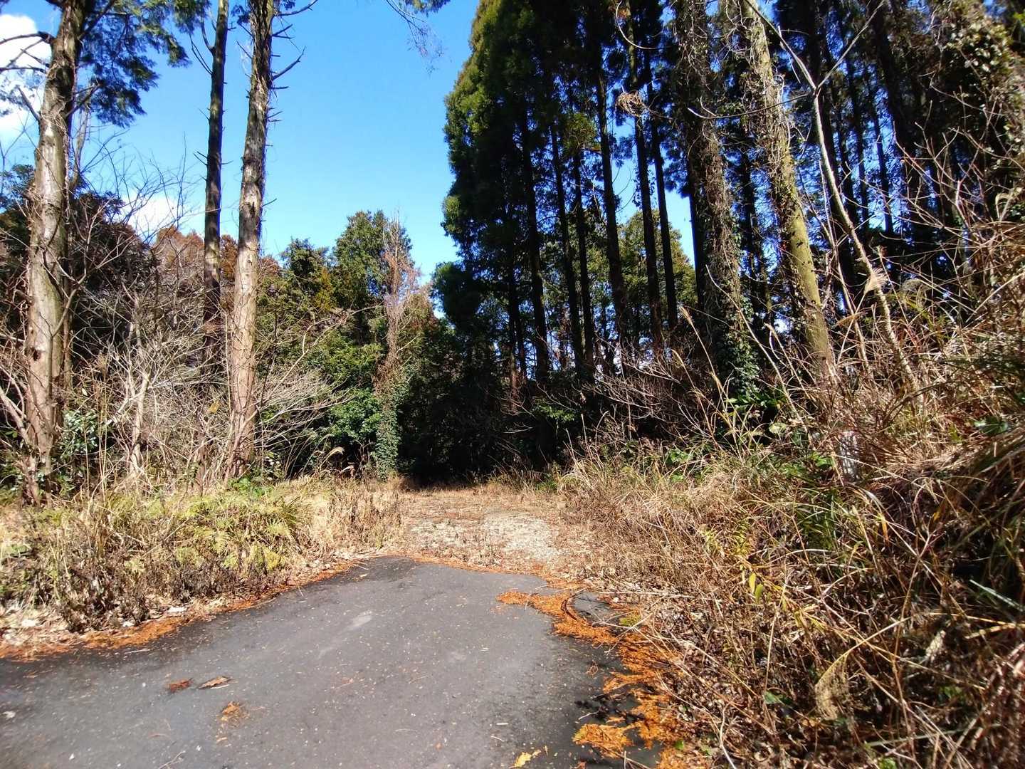 ミラーがある所を入りま〜す🚶💨