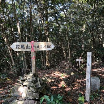 山頂に到着