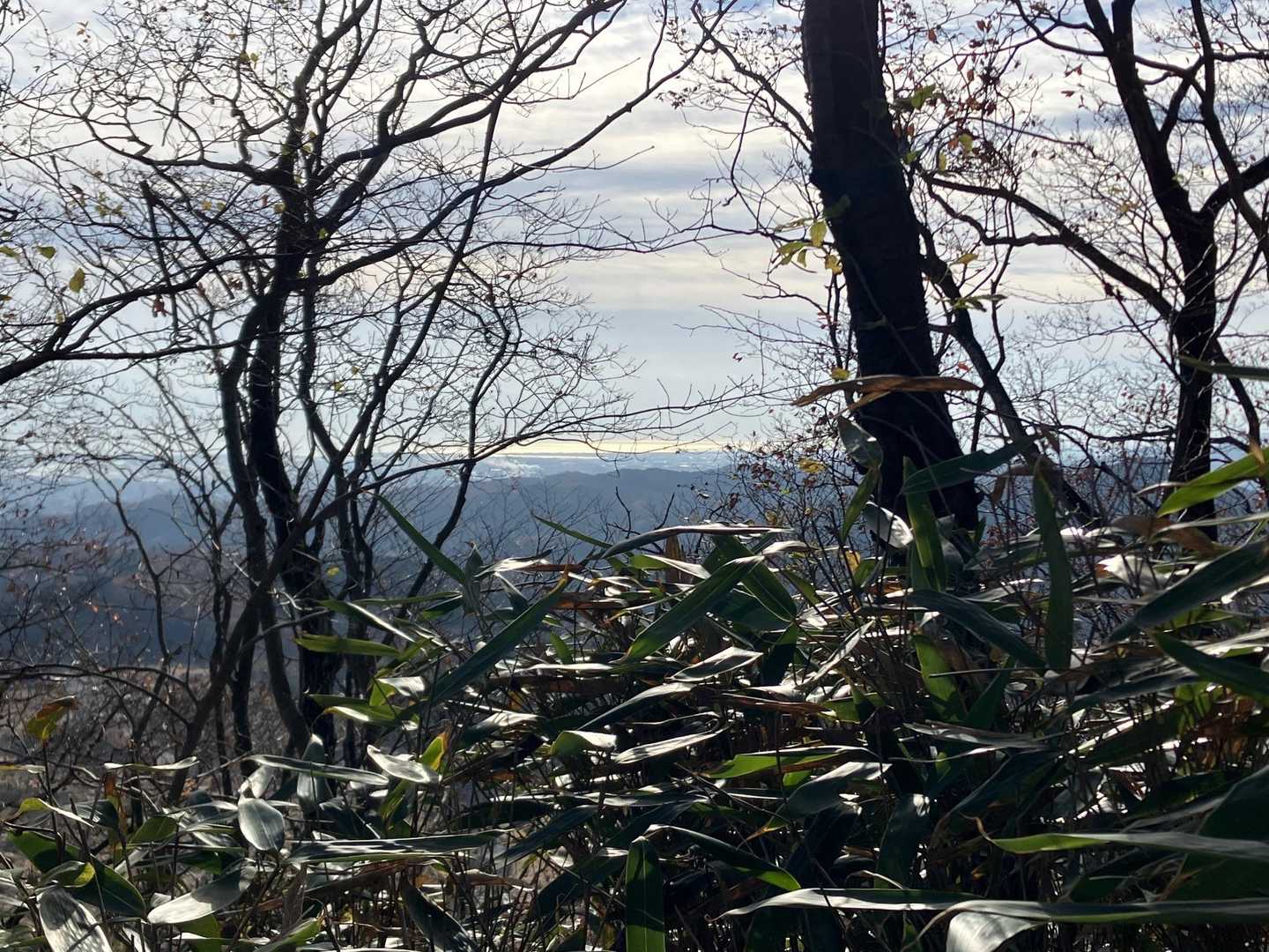 海も遠く光ってました✨