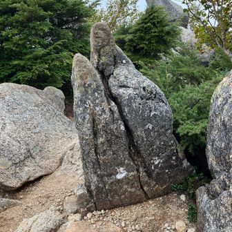下山途中に、イルカに頭のような岩がありました。