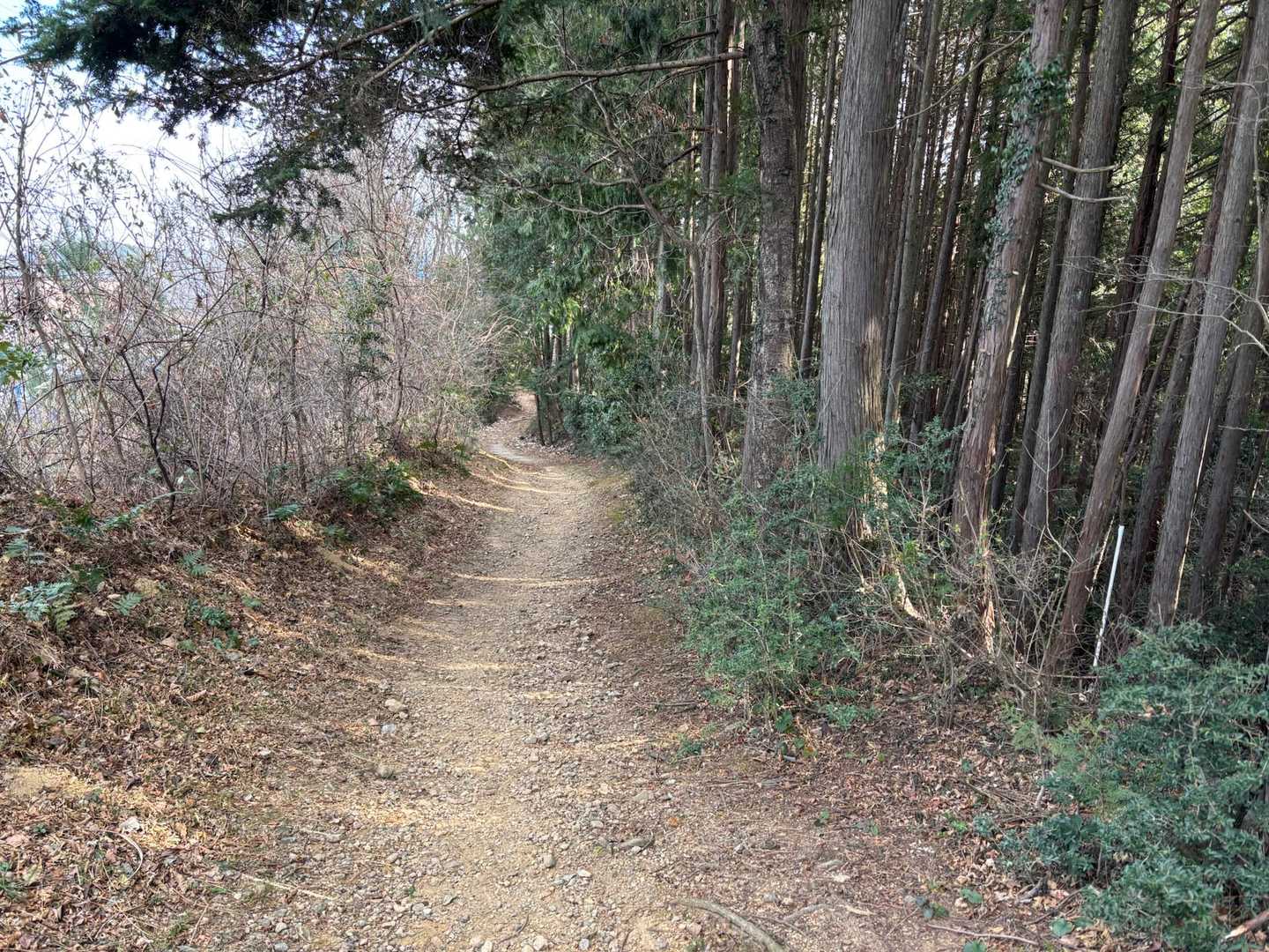 本当によく整備されていて感謝。