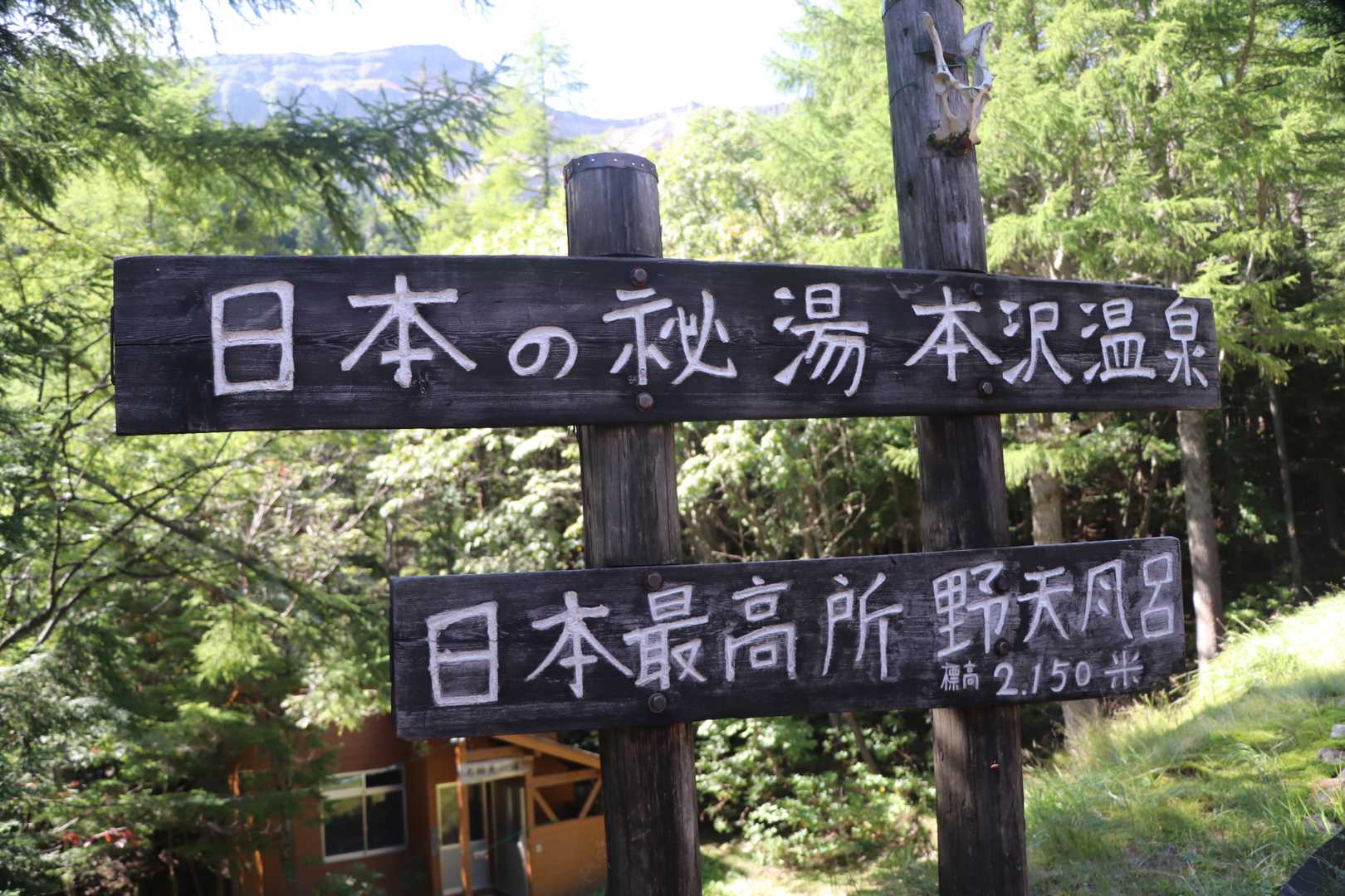 テン場⛺️から10分くらい歩いた少し上に
本沢温泉があります。