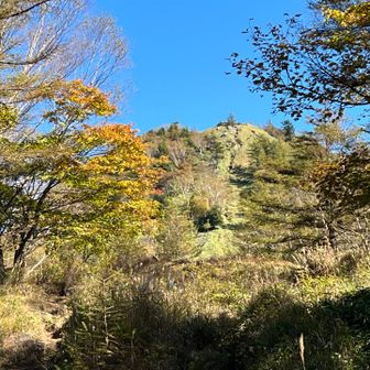見返り笠取山。素晴らしい眺望ありがとう😊